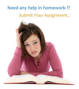 Assignment doer service