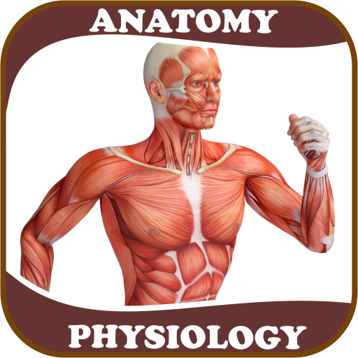 Mcgraw hill connect anatomy and physiology answers