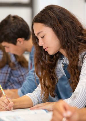 Rubric checklist with 100% marks for homework ordered urgently